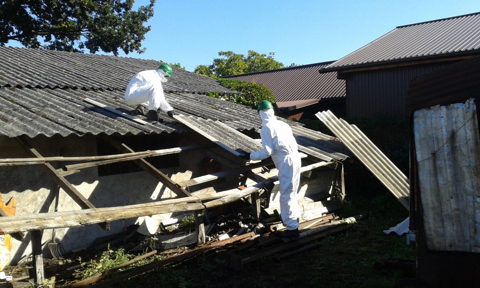 Powiększ zdjęcie. Dwie osoby w białych kominezonach ściągają płyty azbestowe ze starego dachu. 