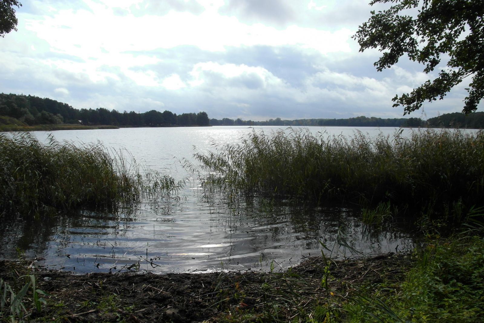 widok na jezioro Ostrowieckie od północnego zachodu