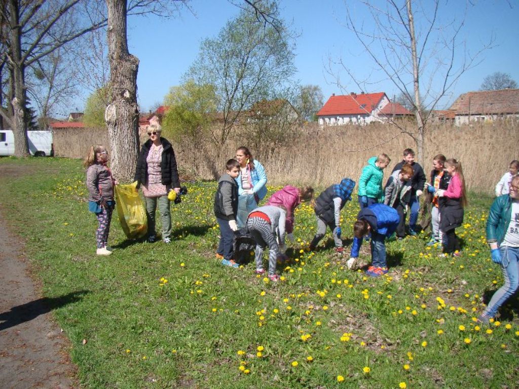Dzieci ze Szkoły Podstawowej w Sarbinopwie zbierają śmieci (link prowadzi do powiększonej wersji zdjęcia)