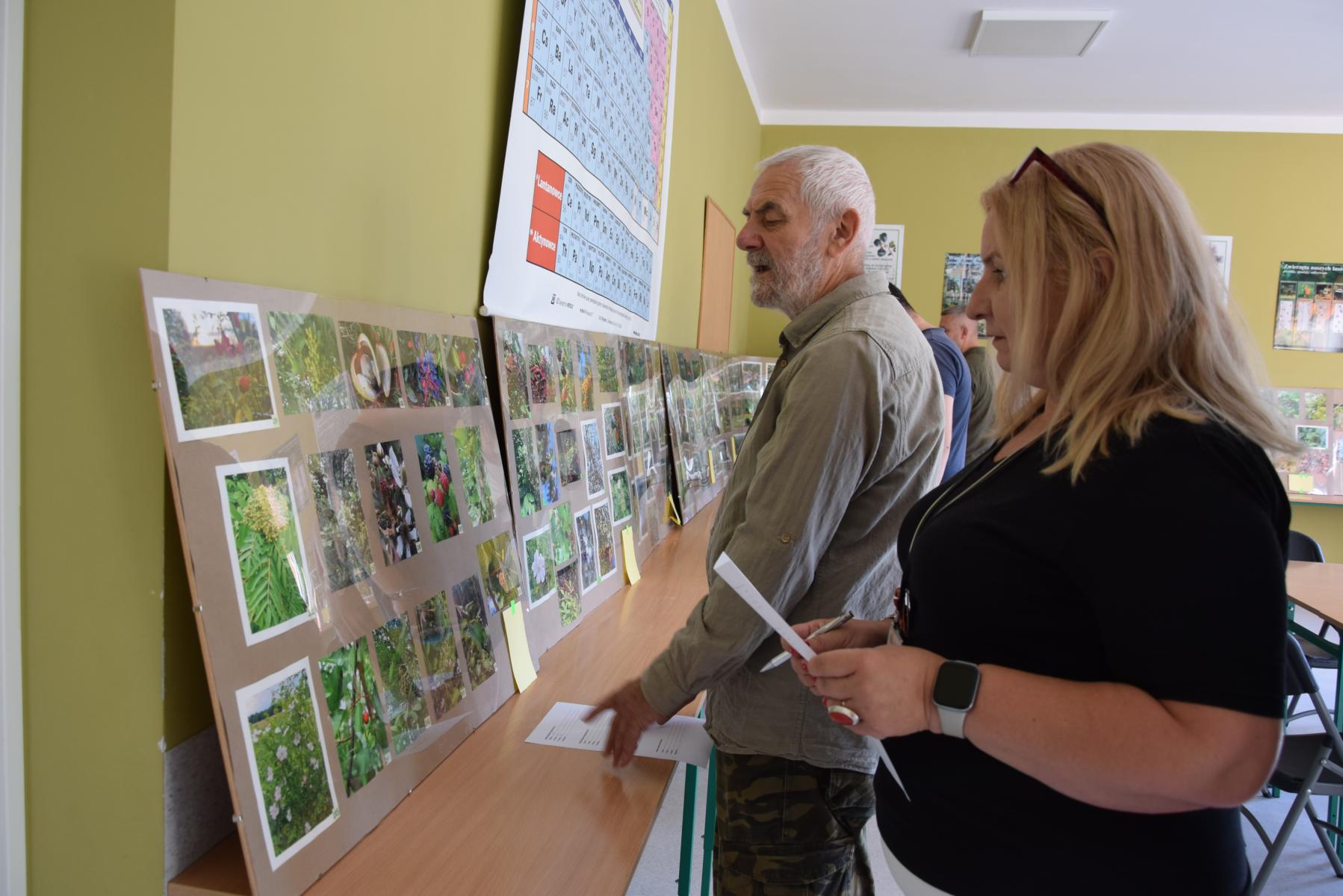 Członkowie komisji oglądają zdjęcia umieszczone w antyramach  