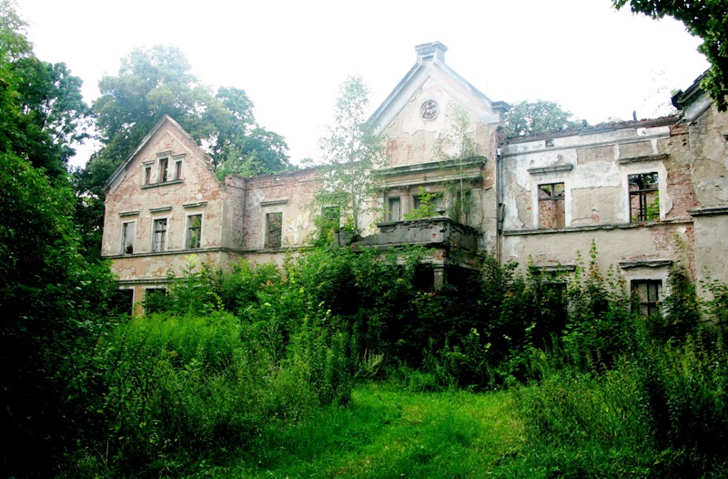 Ruiny pałacu w Grzymiradzu
