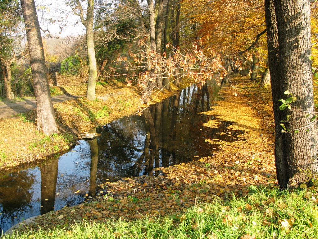Rzeka Kosa jesienią